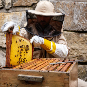 Bienenhonig 250g – Bild 3