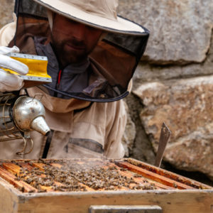 Bienenhonig 1KG – Bild 4