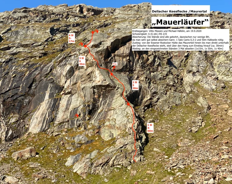 Mauerläufer Dellacher Keesflecke